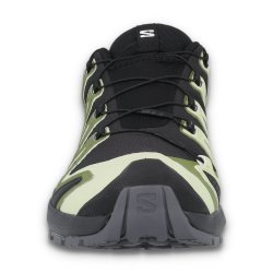 Кросівки Salomon Xa Pro 3D V9 GTX M - чорний/зелений