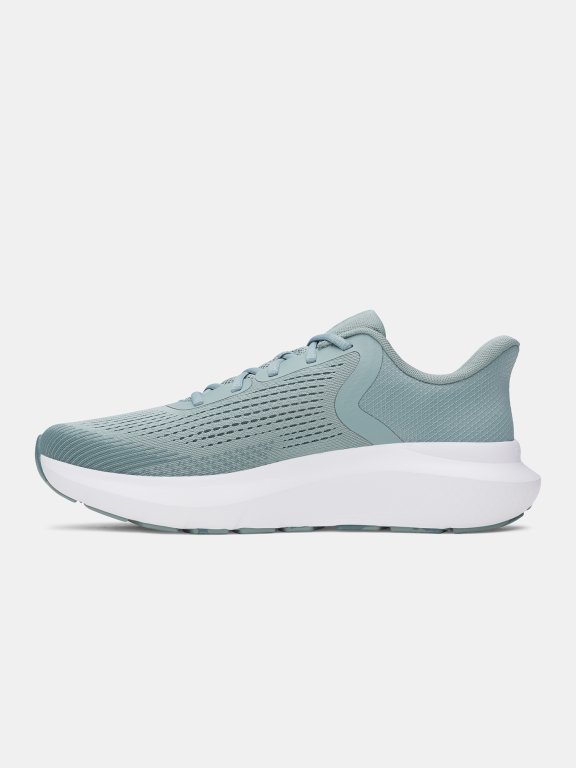Кросівки Under Armour Charged Rogue 5 Man Gray Green