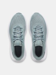 Кросівки Under Armour Charged Rogue 5 Man Gray Green