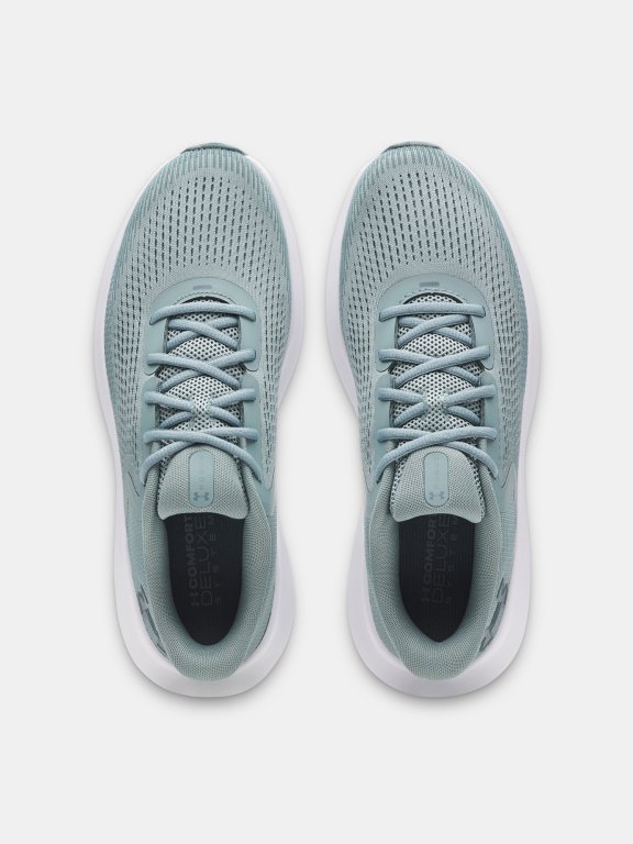 Кросівки Under Armour Charged Rogue 5 Man Gray Green