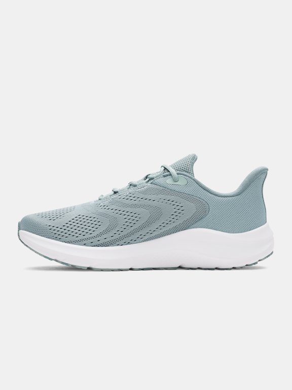 Кросівки Under Armour Charged Pursuit 4 BL Man gray green