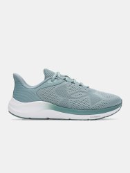 Кросівки Under Armour Charged Pursuit 4 BL Wmn gray green