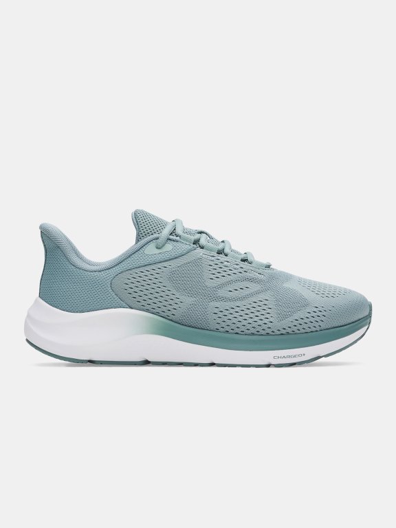 Кросівки Under Armour Charged Pursuit 4 BL Wmn gray green