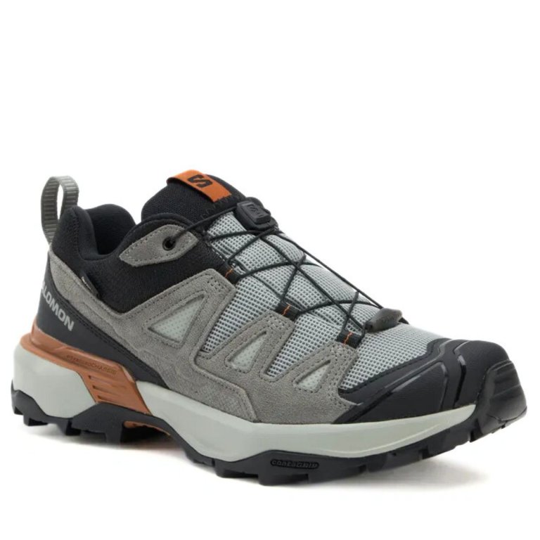 Взуття Salomon X Ultra 360 Ltr GTX M -сіро/коричневе
