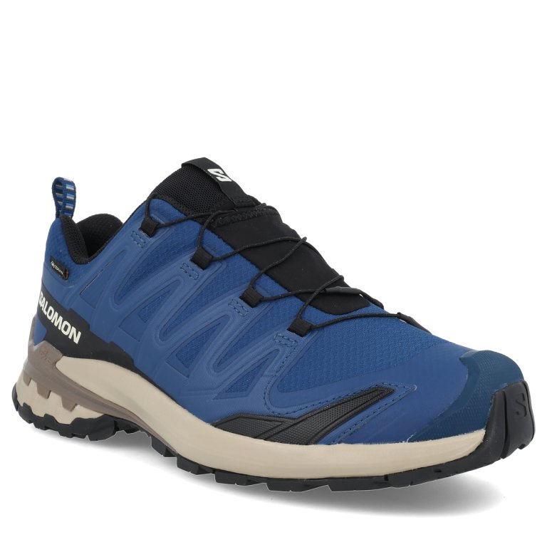 Кросівки Salomon Xa Pro 3D V9 GTX M - сині