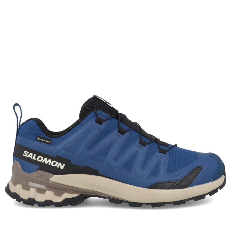 Кросівки Salomon Xa Pro 3D V9 GTX M - сині