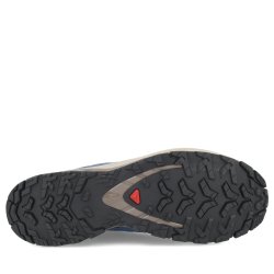 Кросівки Salomon Xa Pro 3D V9 GTX M - сині