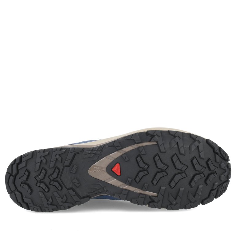 Кросівки Salomon Xa Pro 3D V9 GTX M - сині