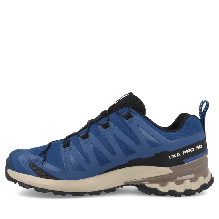 Кросівки Salomon Xa Pro 3D V9 GTX M - сині