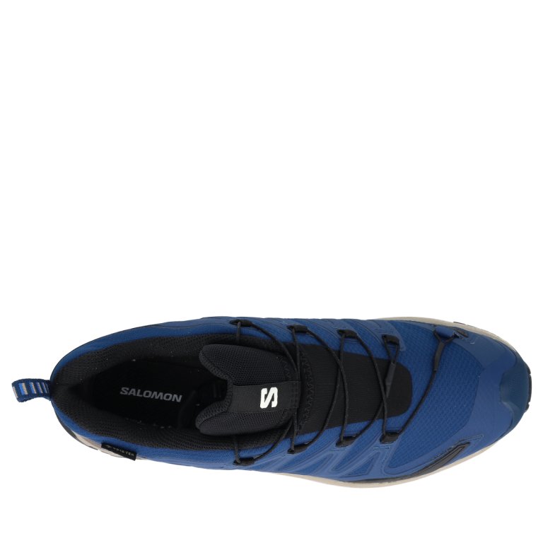 Кросівки Salomon Xa Pro 3D V9 GTX M - сині
