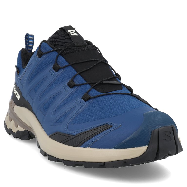 Кросівки Salomon Xa Pro 3D V9 GTX M - сині