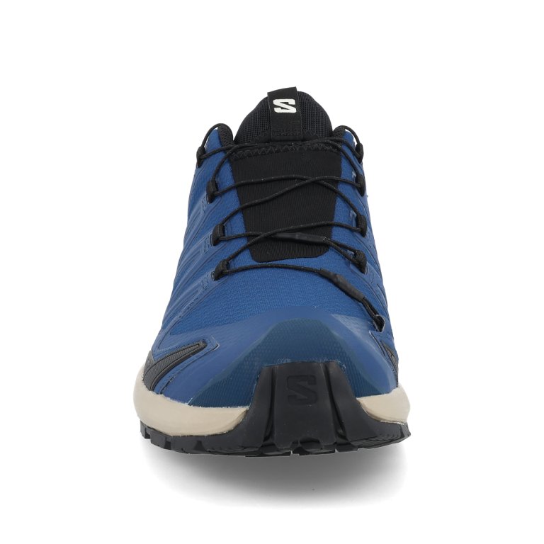 Кросівки Salomon Xa Pro 3D V9 GTX M - сині