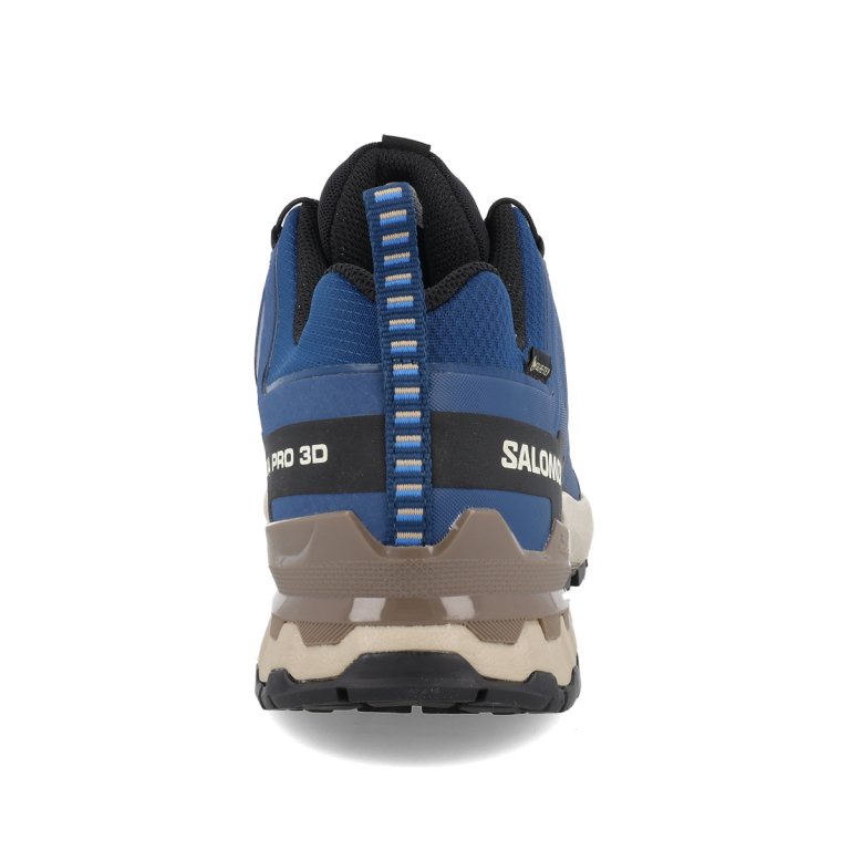 Кросівки Salomon Xa Pro 3D V9 GTX M - сині