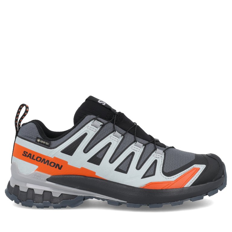 Кросівки Salomon Xa Pro 3D V9 GTX M - сіро/чорні