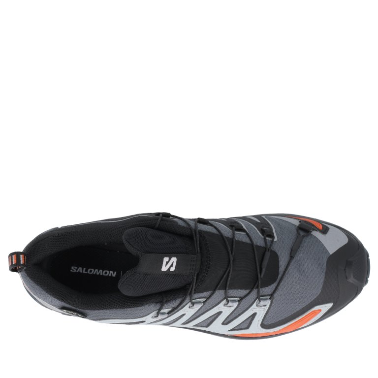 Кросівки Salomon Xa Pro 3D V9 GTX M - сіро/чорні