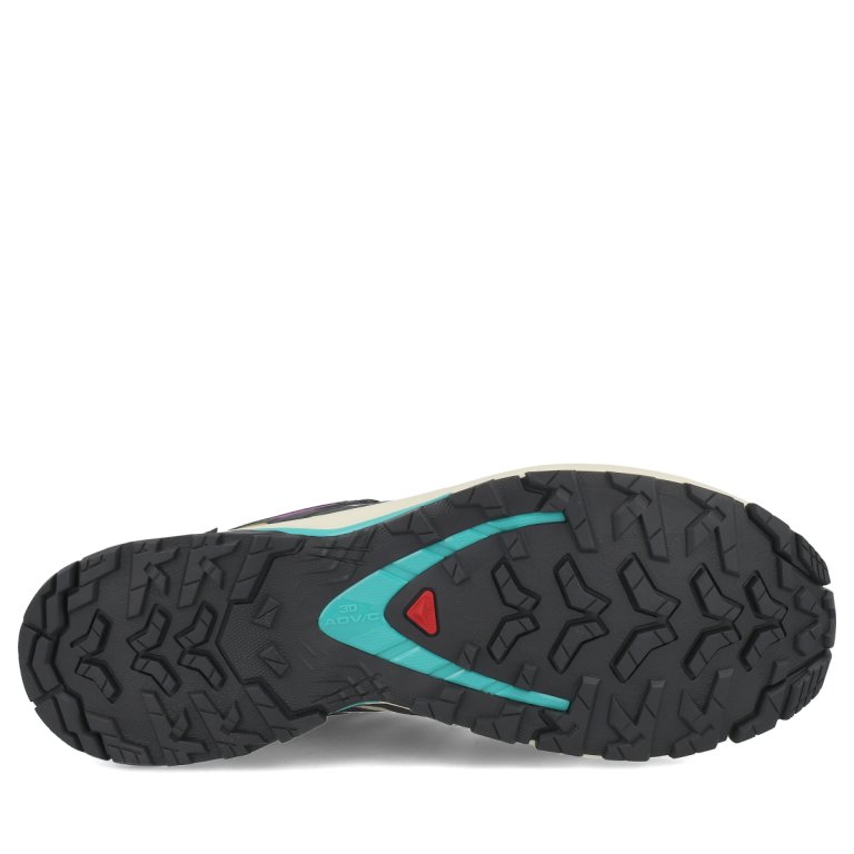 Кросівки Salomon Xa Pro 3D V9 GTX M - жовто/фіолетово/чорні