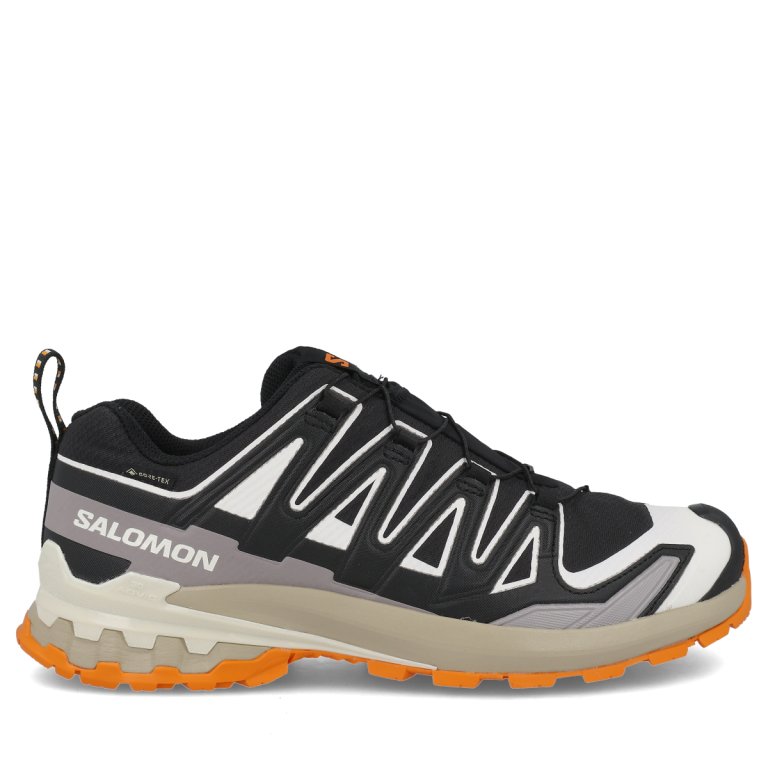 Кросівки Salomon Xa Pro 3D V9 GTX M - чорно/ зелено/коричневі