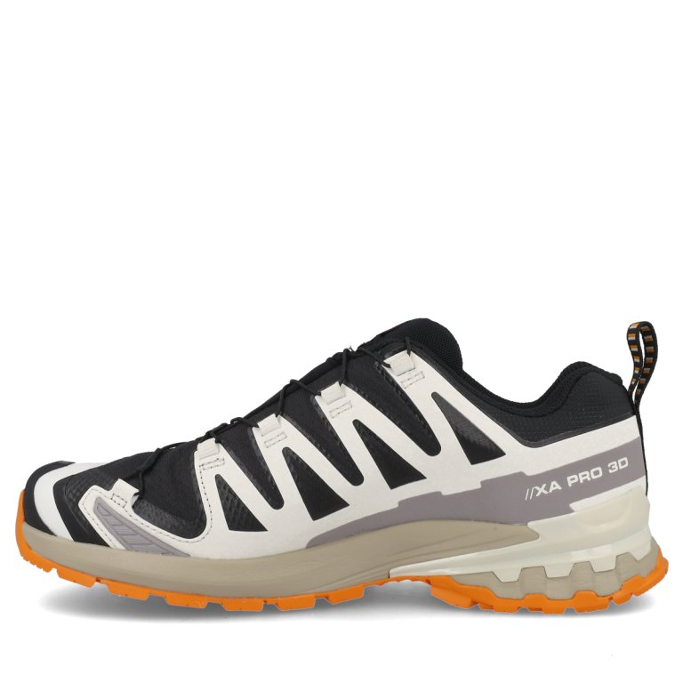Кросівки Salomon Xa Pro 3D V9 GTX M - чорно/ зелено/коричневі