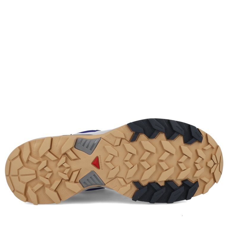 Взуття Salomon X Ultra 360 Edge GTX M - синій/сірий