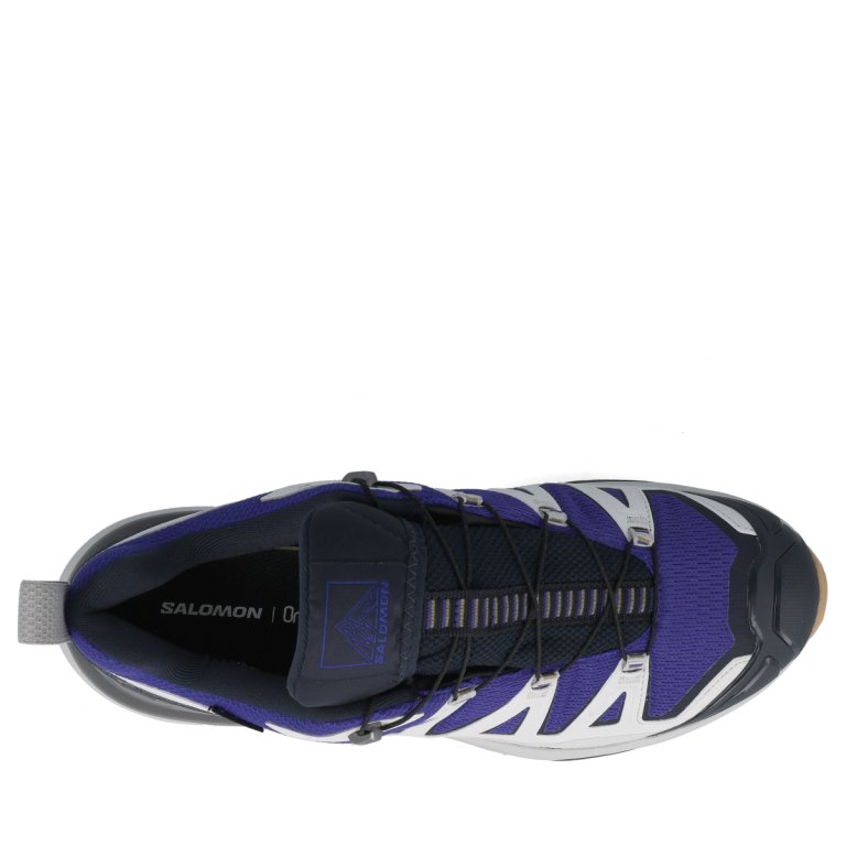 Взуття Salomon X Ultra 360 Edge GTX M - синій/сірий