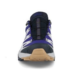 Взуття Salomon X Ultra 360 Edge GTX M - синій/сірий