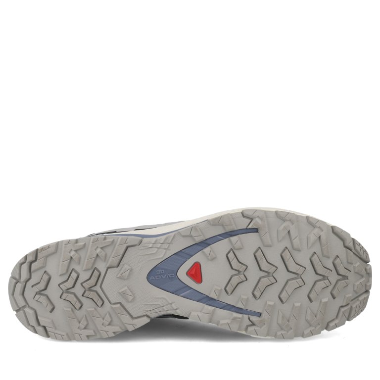 Кросівки Salomon Xa Pro 3D V9 GTX M - сині/ чорні/ сірі
