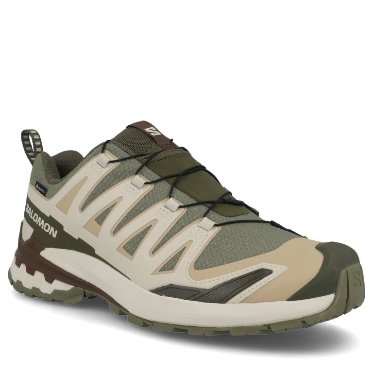 Кросівки Salomon Xa Pro 3D V9 GTX M - зелений/бежевий