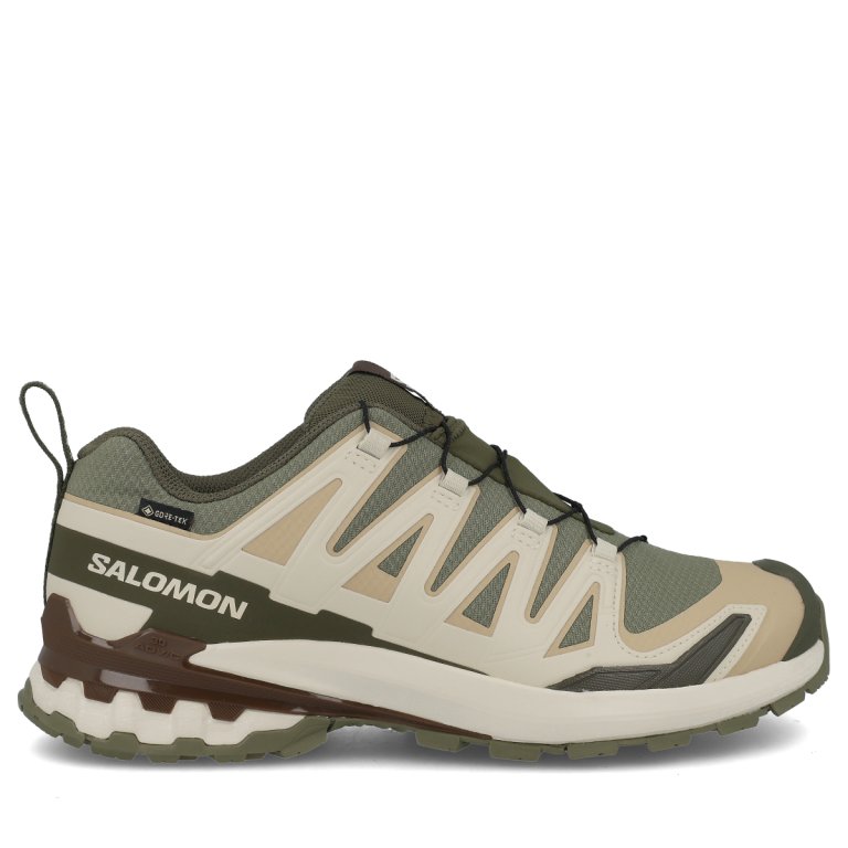 Кросівки Salomon Xa Pro 3D V9 GTX M - зелений/бежевий