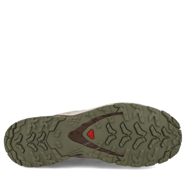 Кросівки Salomon Xa Pro 3D V9 GTX M - зелений/бежевий