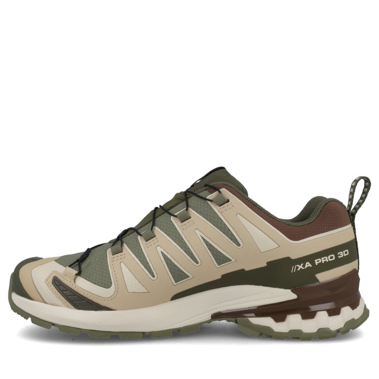 Кросівки Salomon Xa Pro 3D V9 GTX M - зелений/бежевий