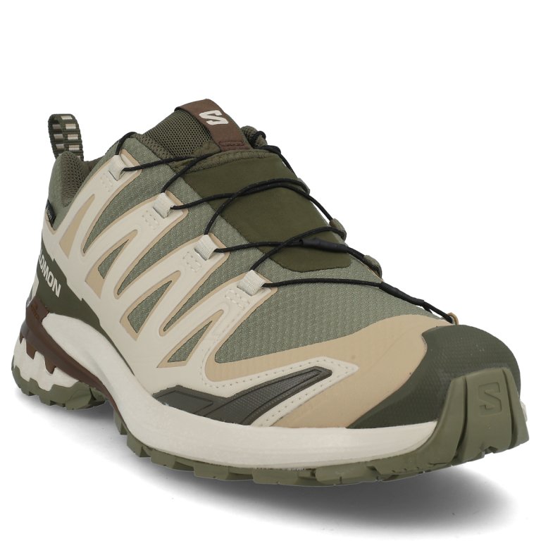 Кросівки Salomon Xa Pro 3D V9 GTX M - зелений/бежевий