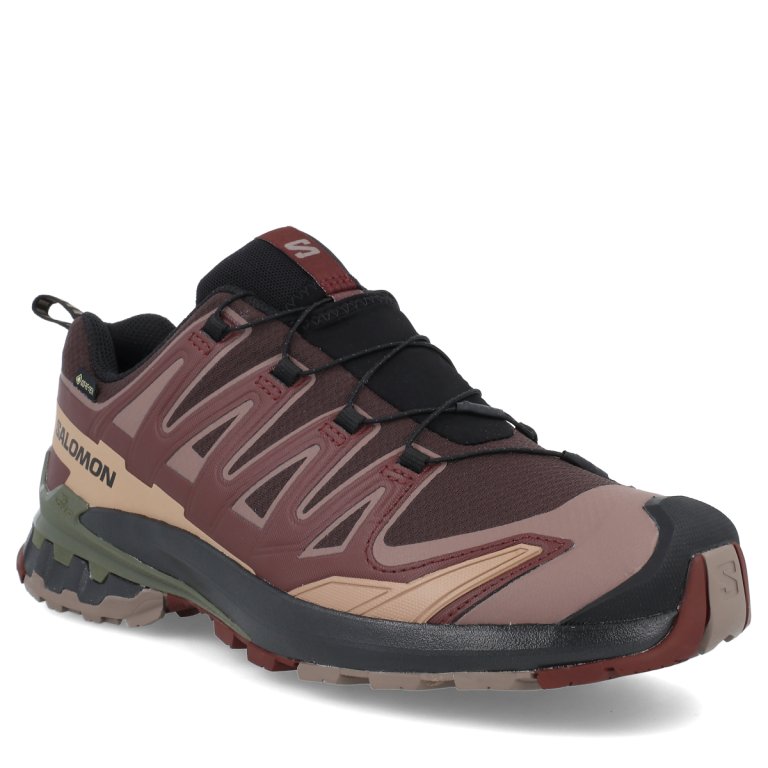 Взуття Salomon XA PRO 3D V9 GTX M - коричневий