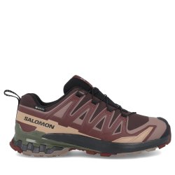 Взуття Salomon XA PRO 3D V9 GTX M - коричневий