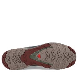 Взуття Salomon XA PRO 3D V9 GTX M - коричневий