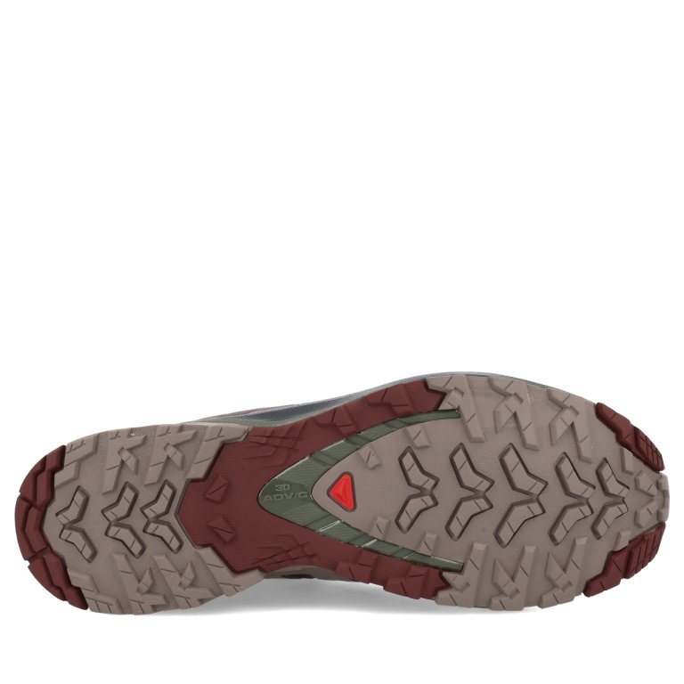 Взуття Salomon XA PRO 3D V9 GTX M - коричневий