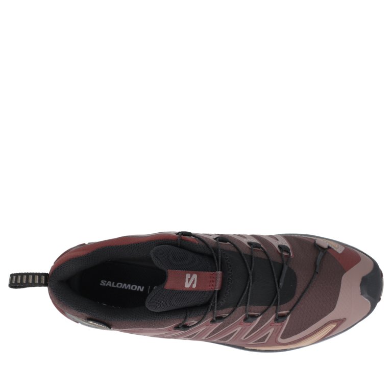 Взуття Salomon XA PRO 3D V9 GTX M - коричневий