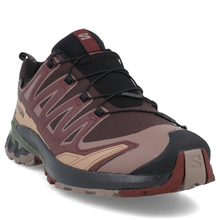 Взуття Salomon XA PRO 3D V9 GTX M - коричневий