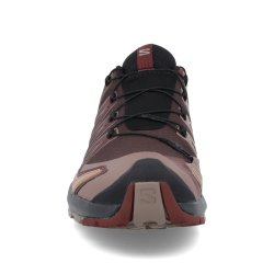 Взуття Salomon XA PRO 3D V9 GTX M - коричневий