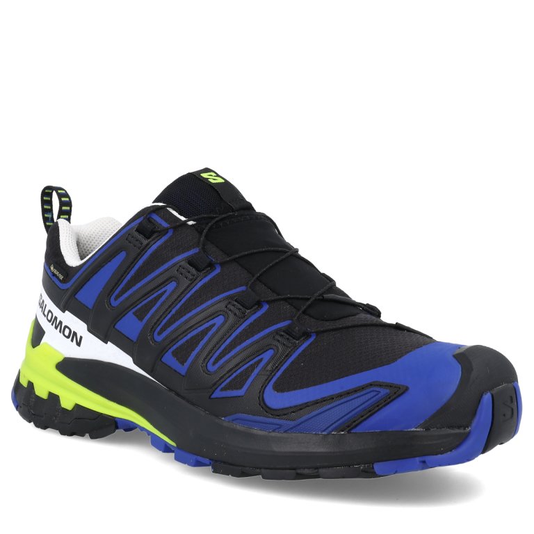 Взуття Salomon XA PRO 3D V9 GTX M - чорний/синій/жовтий
