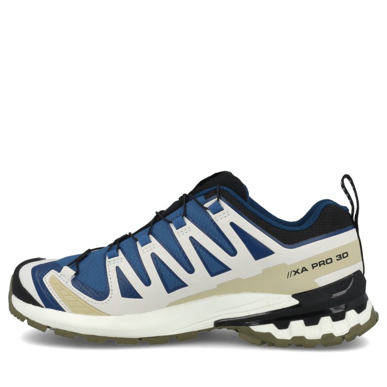 Кросівки Salomon Xa Pro 3D V9 GTX M - синій/бежевий