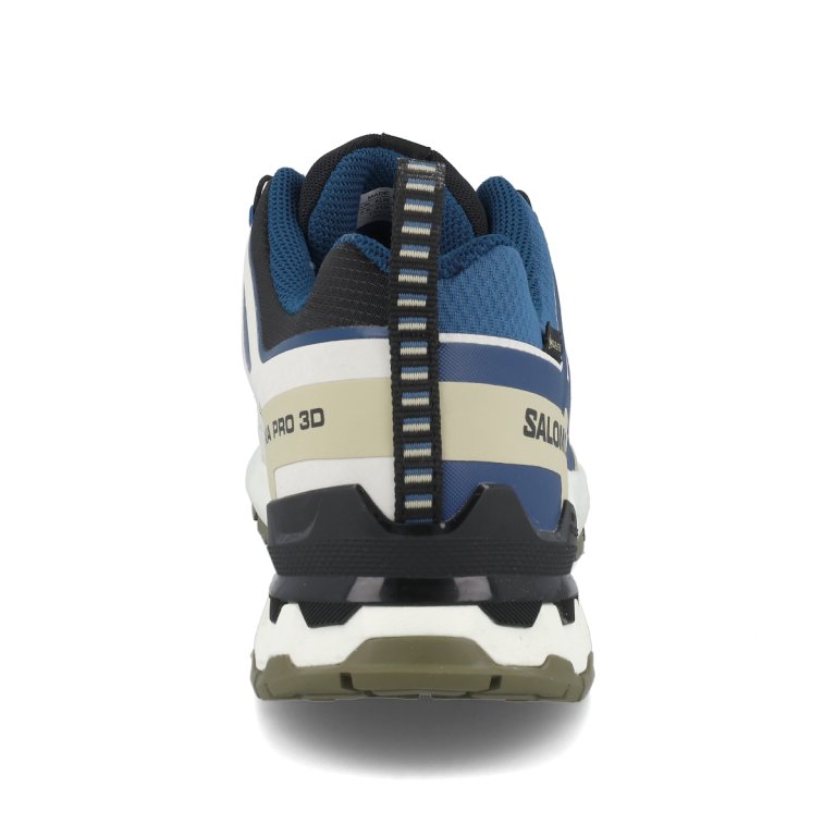 Кросівки Salomon Xa Pro 3D V9 GTX M - синій/бежевий