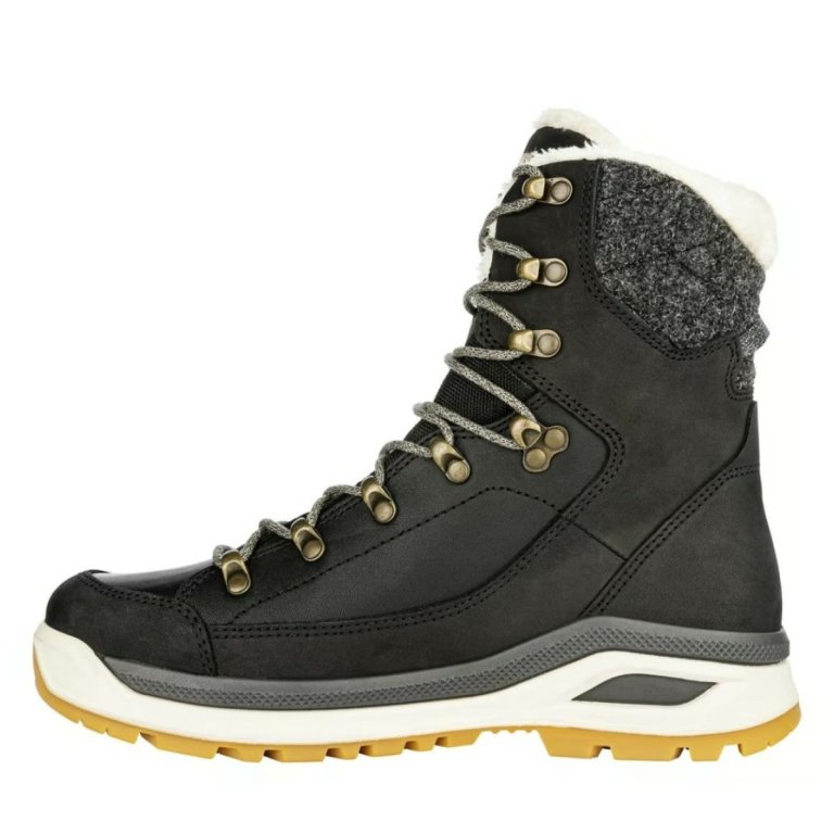 Obuv Lowa Renegade Evo Ice GTX W - černá