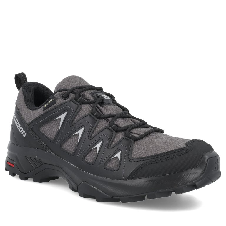 Взуття Salomon X Braze GTX W - чорне