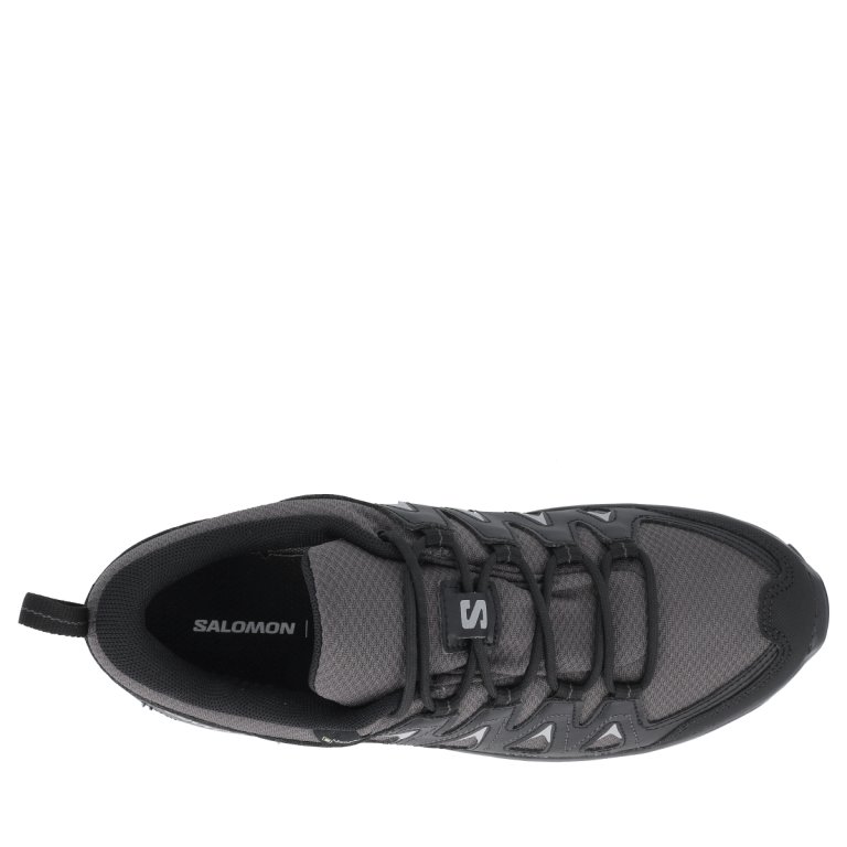 Взуття Salomon X Braze GTX W - чорне