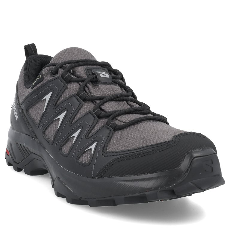 Взуття Salomon X Braze GTX W - чорне