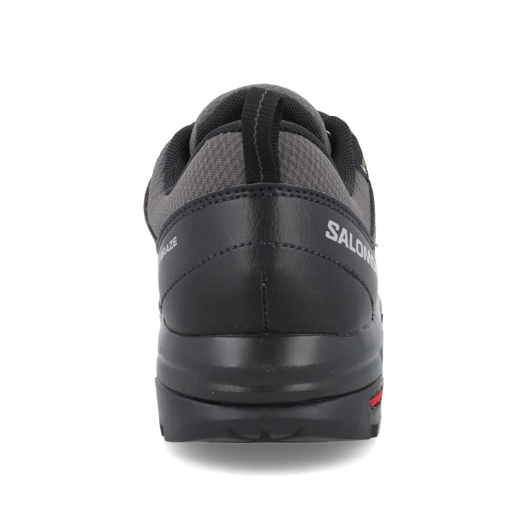 Взуття Salomon X Braze GTX W - чорне