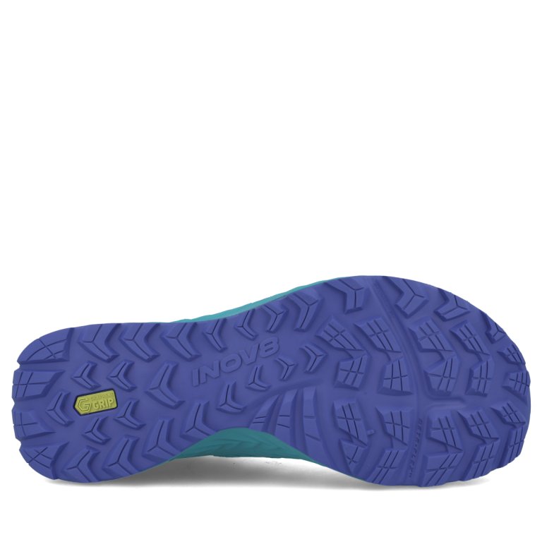 Кросівки INOV8 TrailFly Speed V2 W (стандарт) - сині