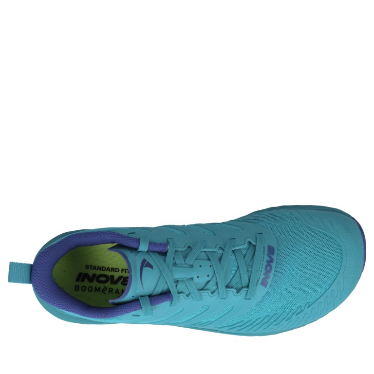 Кросівки INOV8 TrailFly Speed V2 W (стандарт) - сині