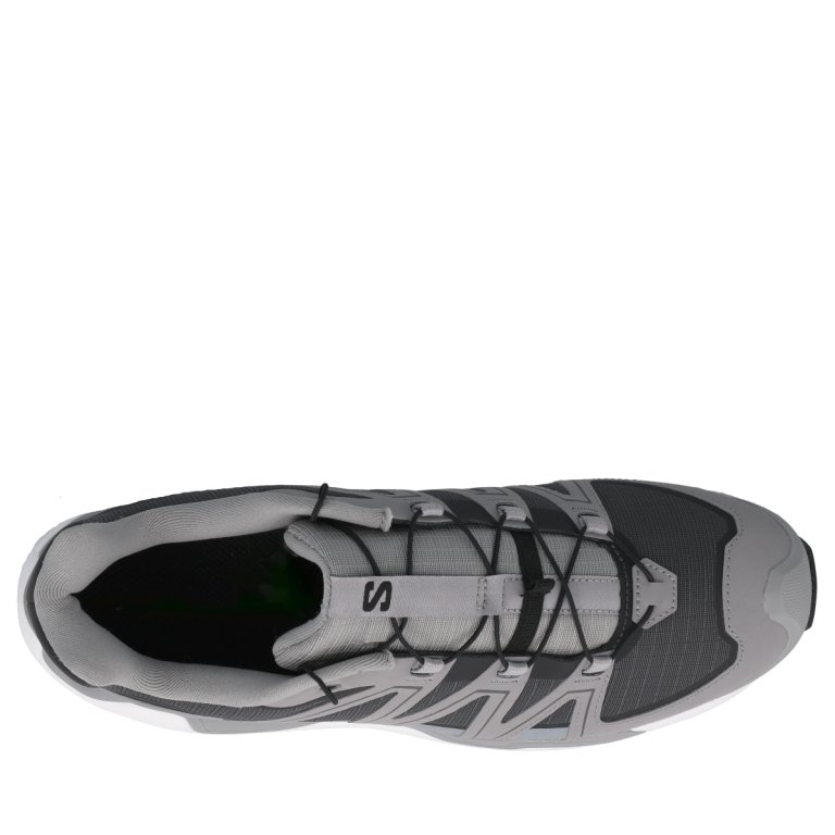 Чревики Salomon XC Roam M - сірі