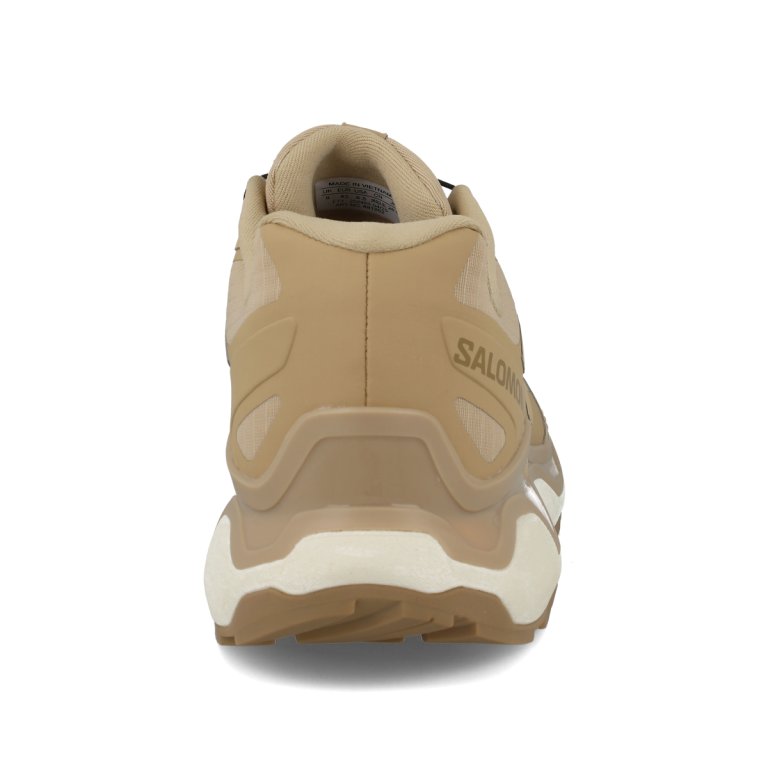Черевики Salomon XC Roam GTX M - бежеві